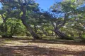Property photo of 14 Burton Close Walpole WA 6398