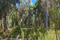 Property photo of 14 Burton Close Walpole WA 6398