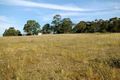 Property photo of 194 Mount Pleasant Road Eltham VIC 3095
