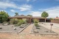 Property photo of 3 Lobelia Road Modbury North SA 5092
