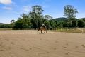 Property photo of 252 Skyring Creek Road Federal QLD 4568