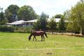 Property photo of 20 River Street Bulahdelah NSW 2423