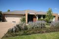 Property photo of 10 Budawang Place Tatton NSW 2650