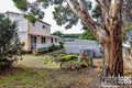 Property photo of 21 Howard Street Bellingham TAS 7254