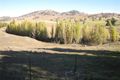 Property photo of 1171 Brungle Creek Road Brungle Creek NSW 2722