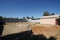 Property photo of 110 Nookamka Terrace Barmera SA 5345