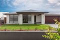 Property photo of 19 Tigertail Street Chisholm NSW 2322