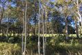 Property photo of 201 Balgownie Drive Peregian Springs QLD 4573