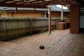 Property photo of 46 Koonung Road Blackburn North VIC 3130