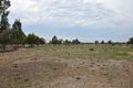Property photo of 77 Cobram South Road Cobram VIC 3644