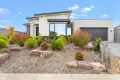 Property photo of 9 Liberty Crescent Corinella VIC 3984