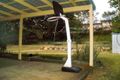 Property photo of 26 Hawkwood Street Mount Gravatt East QLD 4122