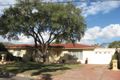 Property photo of 17 Paradise Grove Highbury SA 5089