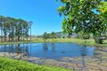 Property photo of 2240 The Parkway Hope Island QLD 4212
