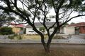 Property photo of 13 Malcolm Avenue Marion SA 5043