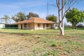 Property photo of 17204 Sturt Highway Barmera SA 5345