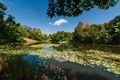 Property photo of 272-274 Flaxton Drive Flaxton QLD 4560