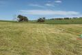 Property photo of 41 Kelly Road Mintaro SA 5415