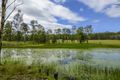 Property photo of 116 Lloyds Road Pillar Valley NSW 2462