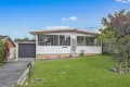 Property photo of 54 Walu Avenue Halekulani NSW 2262
