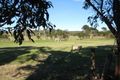 Property photo of 371 Lanes Road Alberton West VIC 3971