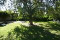 Property photo of 24 William Street Singleton NSW 2330