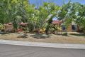 Property photo of 3 Hanlon Court Collingwood Park QLD 4301