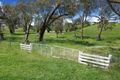 Property photo of 478 Hen And Chicken Lane Evans Plains NSW 2795