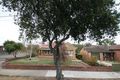 Property photo of 8 Pym Street Croydon Park SA 5008