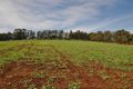 Property photo of 311 Ure Road Gembrook VIC 3783