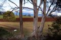 Property photo of 239 Wadleys Road Reedy Marsh TAS 7304