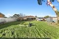 Property photo of 14 Allambee Avenue Edwardstown SA 5039