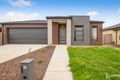 Property photo of 25 Wedge Tail Drive Winter Valley VIC 3358