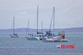 Property photo of 8 Rosebud Esplanade Victoria Point QLD 4165