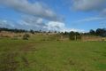 Property photo of 179 Wattley Hill Road Wootton NSW 2423