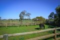 Property photo of 1669 Dingee Road Diggora VIC 3561