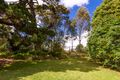 Property photo of 6 Banks Avenue North Turramurra NSW 2074