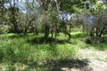 Property photo of 3 Forest Way Moore Park Beach QLD 4670