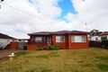 Property photo of 16 South Pacific Avenue Mount Pritchard NSW 2170
