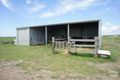 Property photo of 179 Lyttle Lane Ridgelands QLD 4702