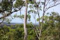 Property photo of 378 Coorooman Creek Road Cawarral QLD 4702