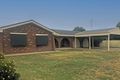 Property photo of 189 Algalah Street Narromine NSW 2821