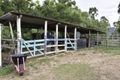 Property photo of 369 Kurkowski Road Pauls Pocket QLD 4800