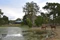 Property photo of 369 Kurkowski Road Pauls Pocket QLD 4800