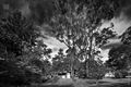Property photo of 2 Staddon Close St Ives NSW 2075