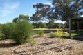 Property photo of 30 Morpung Avenue Nichols Point VIC 3501