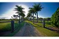 Property photo of 313 Boundary Road Parkhurst QLD 4702