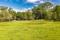 Property photo of 66 Seib Road Eumundi QLD 4562