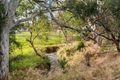 Property photo of 11B Mayelston Crescent St Agnes SA 5097