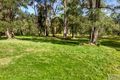 Property photo of 11 Barton Place Blaxlands Ridge NSW 2758